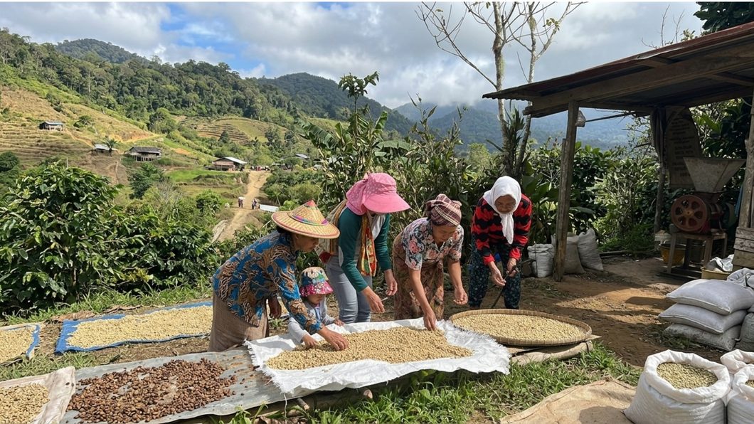 Direct trade with farmers in Sabah