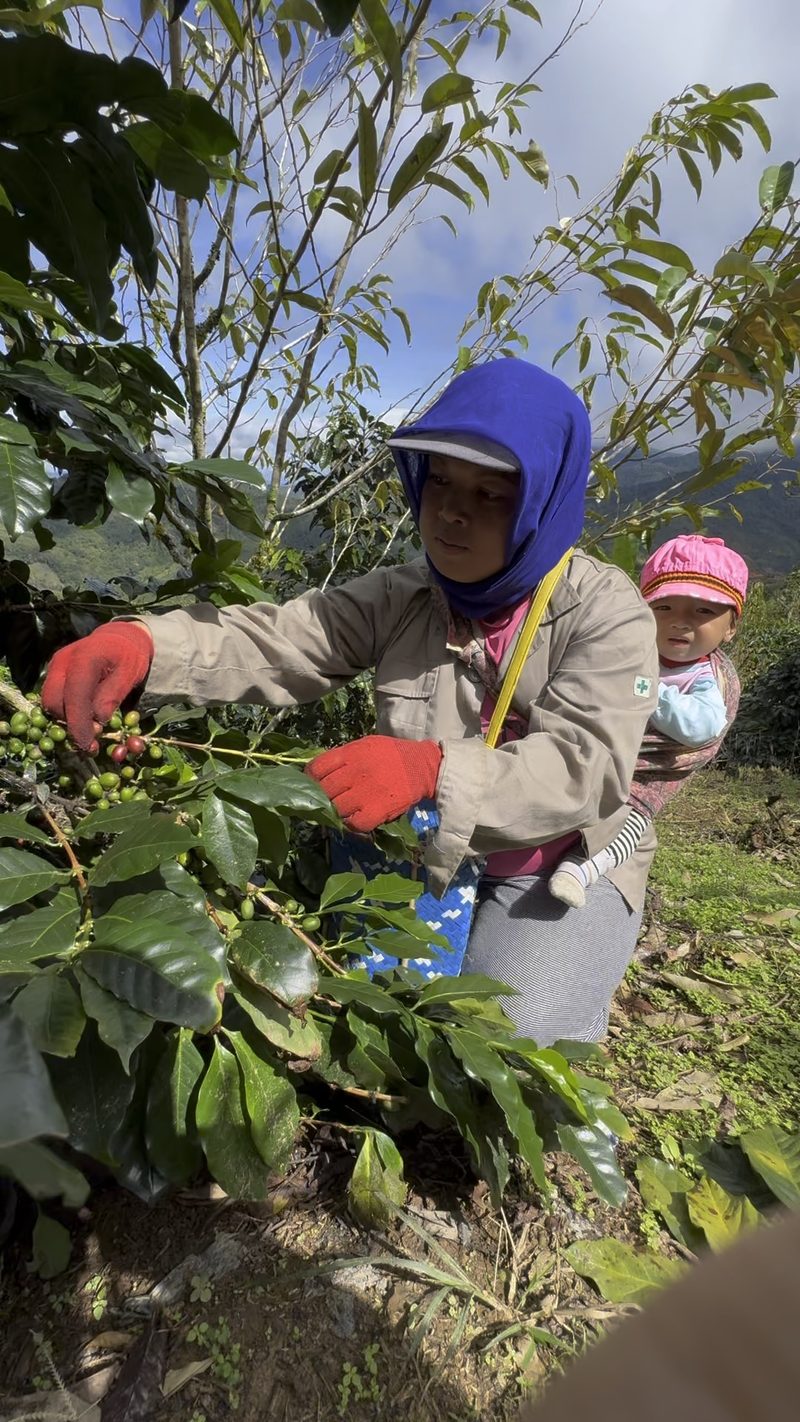 Indigenous women farmers in Sabah